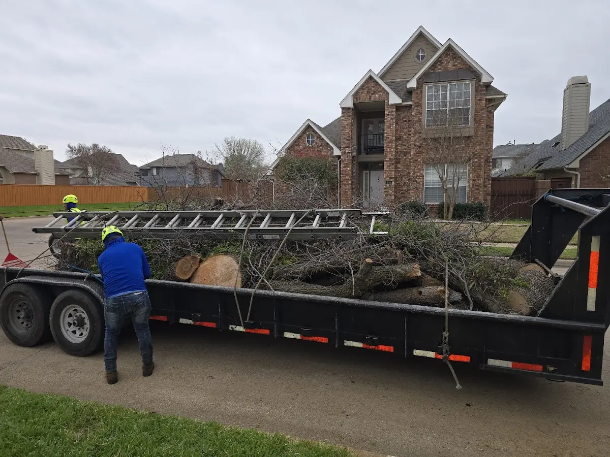 Expert Tree Fertilization with proper safety equipment in Phillipsport